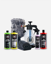 ESSENTIAL WASH & SHINE KIT