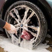 BIG DETAILING WHEEL BRUSH