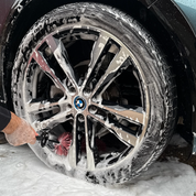 BIG DETAILING WHEEL BRUSH