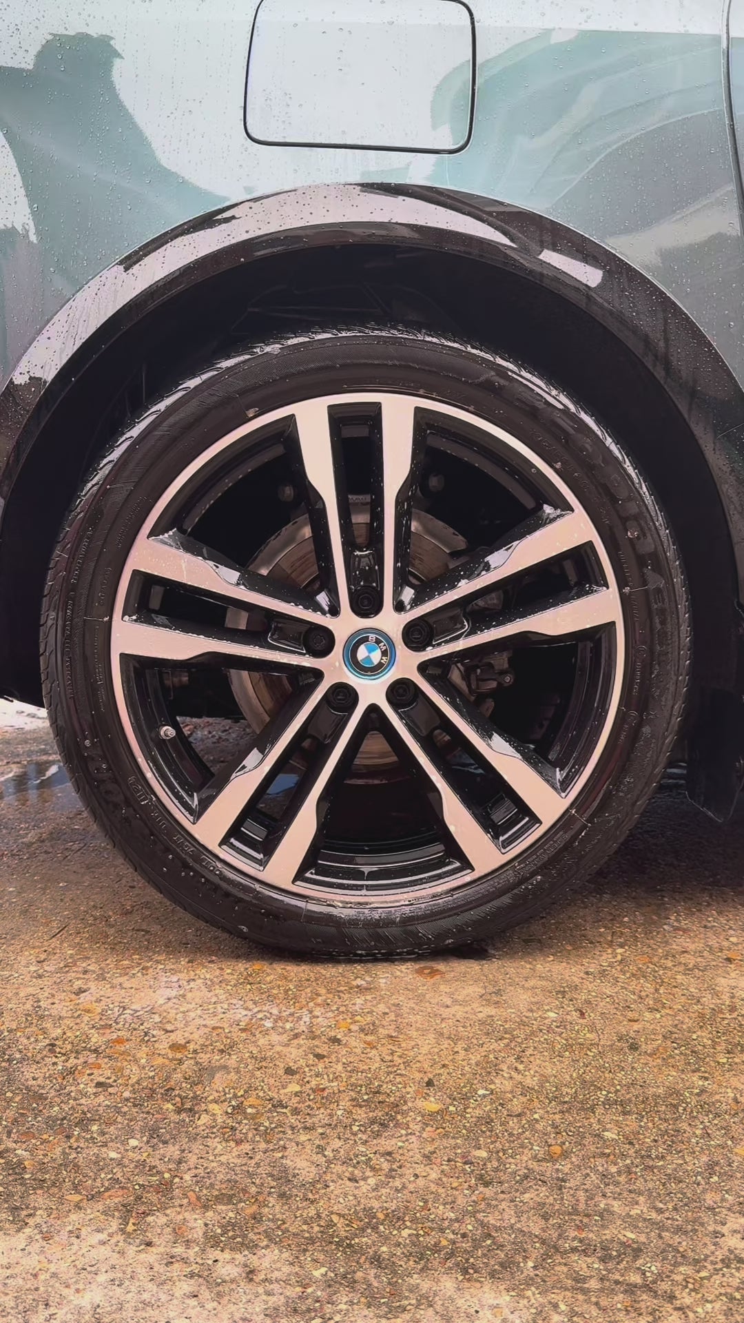BIG DETAILING WHEEL BRUSH